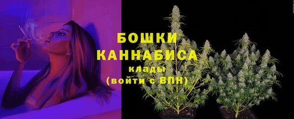 мдпв Богородск