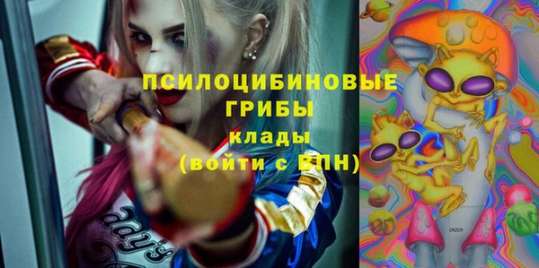 mdpv Богданович