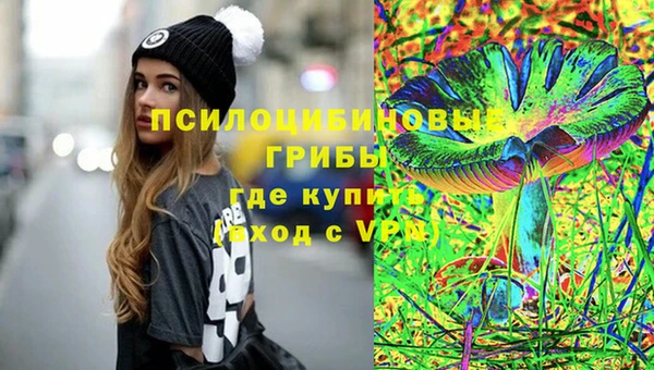 мдпв Богородск