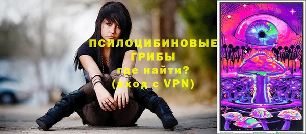 mdpv Богданович